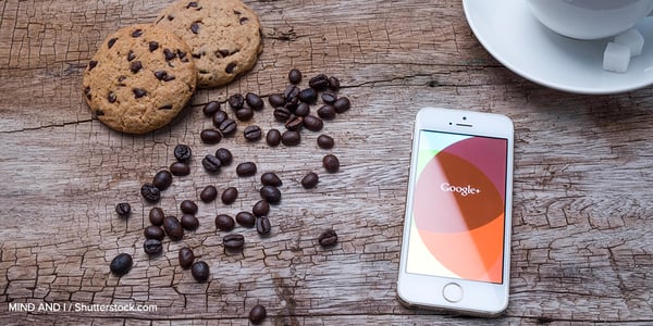 google-cookie-floc