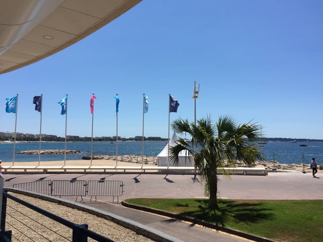 cannes view from discovery zone.jpeg