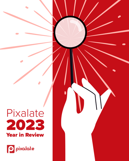 Pixalata Year in review graphic_2023_1